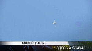 соколы россии