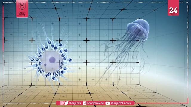 Scientists discover fish parasites that do not breathe: study смотреть онлайн