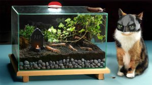 900 ДНЕЙ БЕЗ ЕДЫ ЭКОСИСТЕМА В ЗАКРЫТОМ ТЕРРАРИУМЕ ПОСЛЕДНЕЕ ВИДЕО