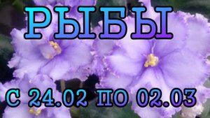 РЫБЫ таро прогноз на неделю с 24 ФЕВРАЛЯ по 2 МАРТА 2025 года.