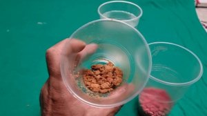 СУБЛИМАЦИЯ ЯГОДЫ