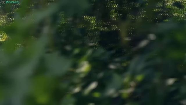 В поисках истины. Будущее человечества и внеземные цивилизации