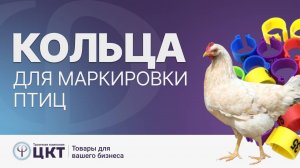 Кольца для маркировки птиц (кольцевание)