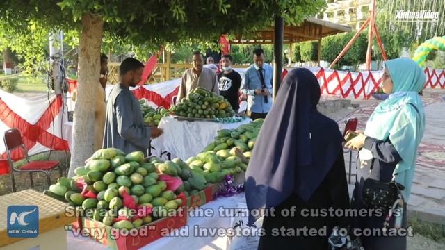 Mango festival in Egypt's Aswan directly connects producers with customers смотреть онлайн