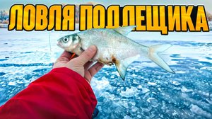 ПОДЛЕЩИК на Рузе и ловля СУДАКА с эхолотами