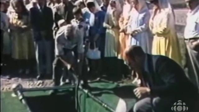 THE LIVING BOOK смотреть онлайн