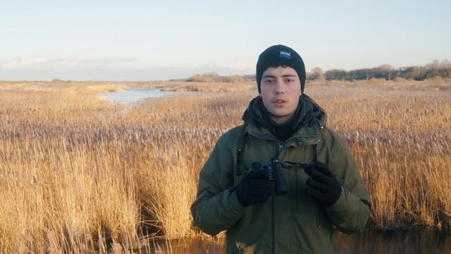 Binocular Terminology: Understanding Field of View, Magnification and objective lens. смотреть онлайн