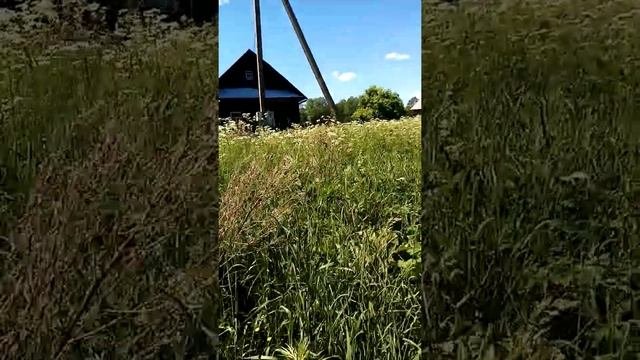 Заброшенная деревня Клешнево