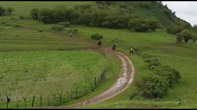 Memories Uzbekistan 🇺🇿 смотреть онлайн