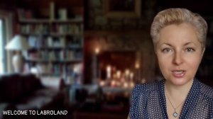 🐕📝🐾 Можно ли собакам давать семечки подсолнуха?