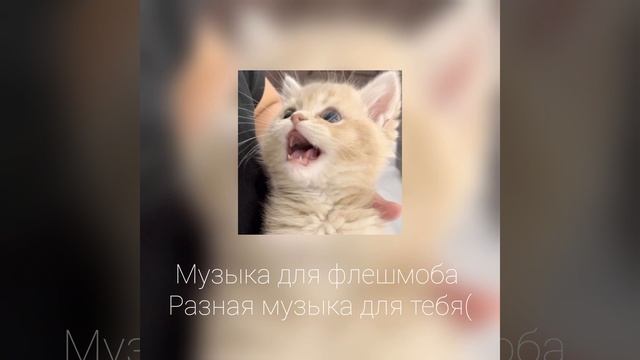 Музыка для флешмоба
