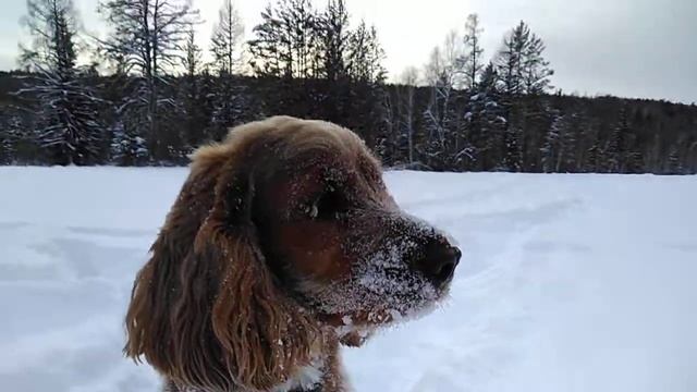 НОВЫЙ ГОД НА НОСУ 2018 смотреть онлайн