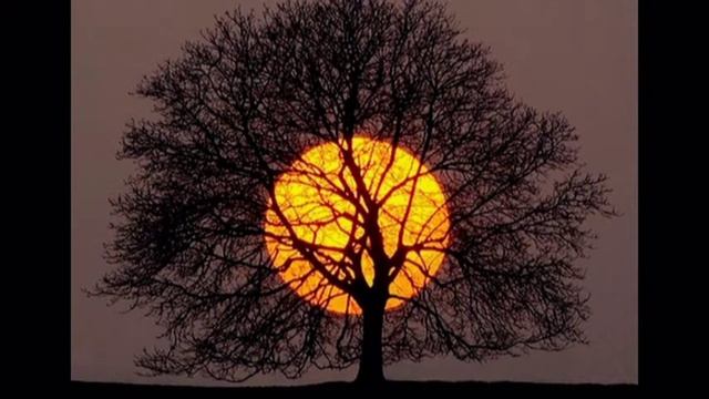 тени осени смотреть онлайн