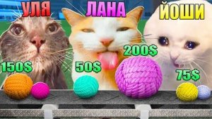 КАКОЙ ТЫ МЕМНЫЙ КОТ Roblox Ultimate CAT Tycoon