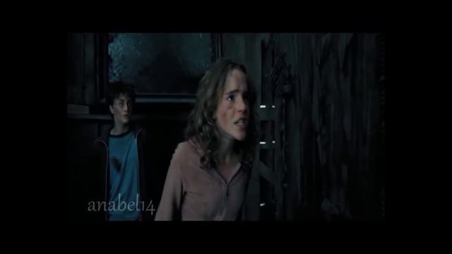 Remus Lupin MusicVideo