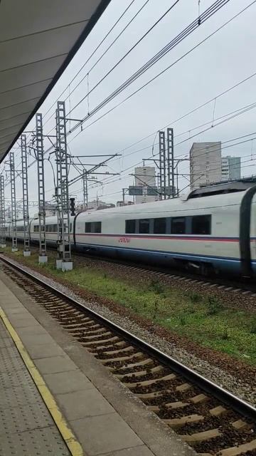 ЭВС1-09 "Сапсан" с сообщением Москва-Санкт-Петербург #ржд #жд #эвс1 #shorts смотреть онлайн