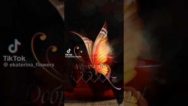 #доброеутро

Счастье сокрыто в простых мелочах.
Елена Митрофанова