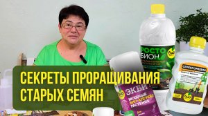 Секреты проращивания старых семян