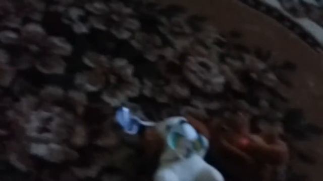 щенки и феолетлвая змея смотреть онлайн