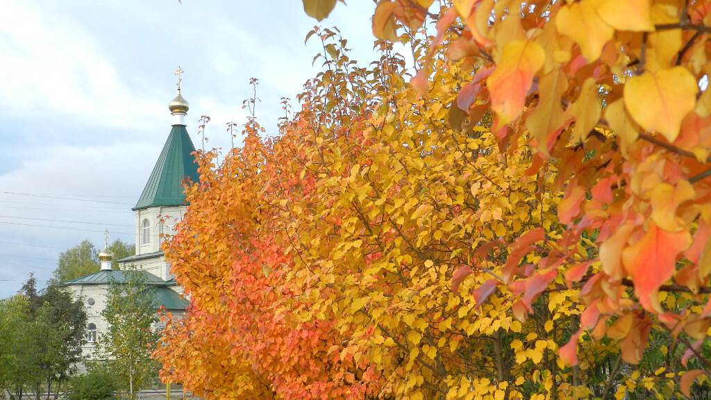 Троицкое сегодня и 45 лет назад
