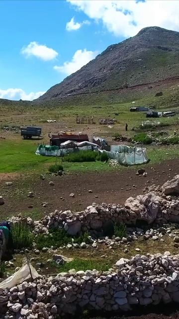 Природа и ее величие в одном видео