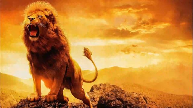 Archetype 8 - The leader disposition on the spiritual path - enneagram смотреть онлайн