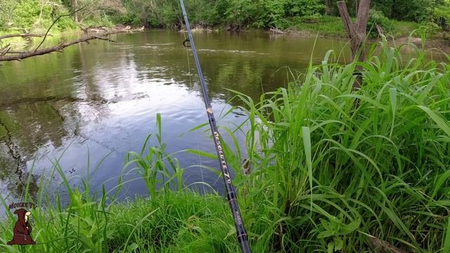 Ветер Валит Деревья а мы на Рыбалке на реке Сок с донками смотреть онлайн