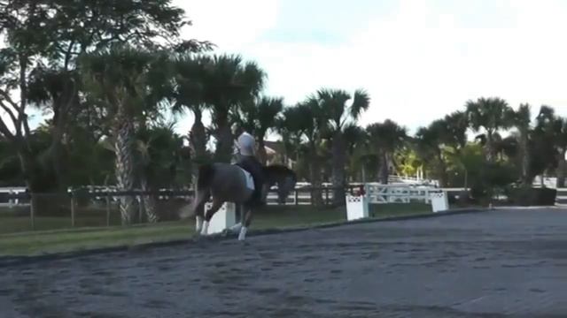 How to do a Spiral Leg Yield on the Circle in Dressage смотреть онлайн