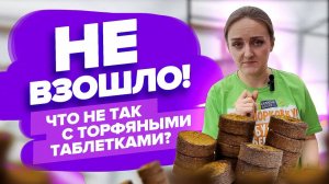 ПОЧЕМУ СЕМЕНА В ТОРФЯНЫХ ТАБЛЕТКАХ НЕ ВСХОДЯТ?