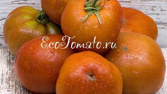 Эти сорта гномов посажу в горшки.  2023 г. г. КИРОВ.  Ватсап тел.. 89229284031