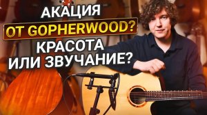 ЖЕМЧУЖИНА Бюджетной Линейки Gopherwood! Честный обзор Gopherwood G330C AK.