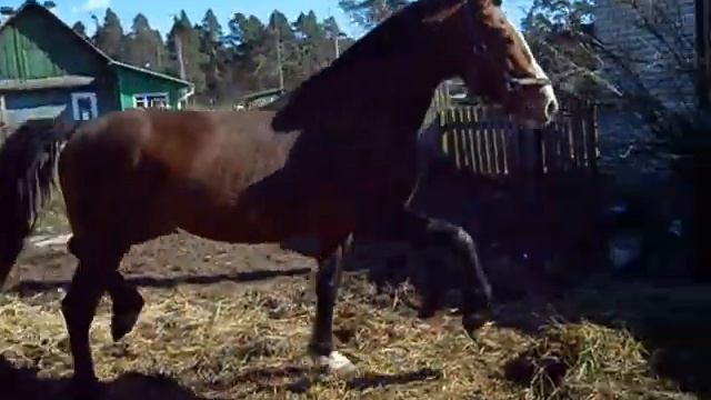 Кубок смотреть онлайн