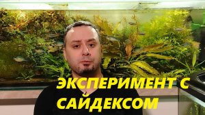 Эксперимент с сайдексом