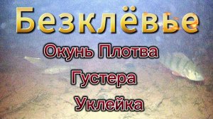 ТОТАЛЬНОЕ БЕЗКЛЁВЬЕ ГЛУХОЗИМЬЕ 2025 ГОДА ЗАПИСЬ КАМЕРЫ ПОВЕДЕНИЯ РЫБЫ РЕАКЦИИ НА ПРИМАНКИ НАЖИВКИ