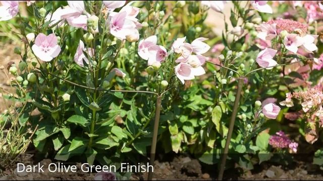 Top 10 Plant Supports