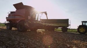 Olimac Drago - жатка для уборки кукурузы | ООО "АПР групп"