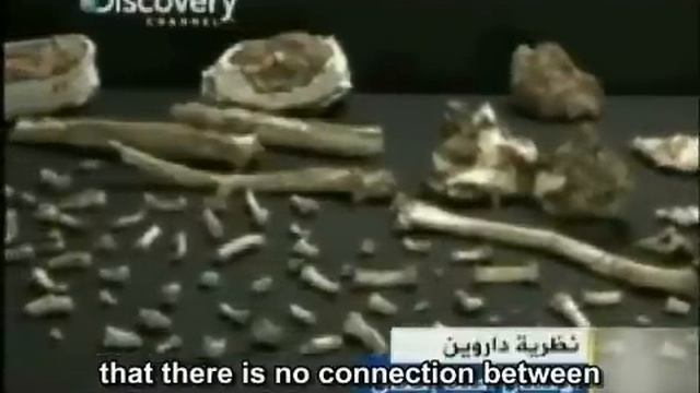 Al-Jazeera's biggest scandal: Ardi fossil proves Darwin wrong смотреть онлайн