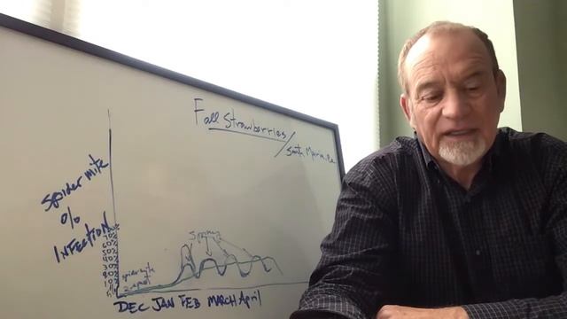 IPM Biological Control of 2 Spot Spider Mites and Lewis Mites in Strawberries-Part Two смотреть онлайн