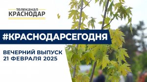 Благоустройство Карасунских озёр, подарки на 23 февраля и спортивный праздник. Новости 21 февраля