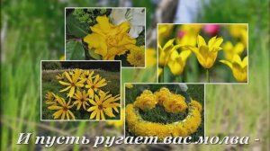 Дарите жёлтые цветы.  Сергей Чекалин