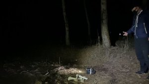 Лес (мистика)