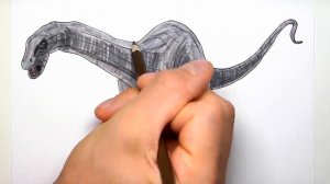 How to Draw Jurassic World Diplodocus - Dinosaur Color Pages for Childrens