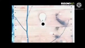 BRIDGE IN TIME rusong tv (8.12.2011)