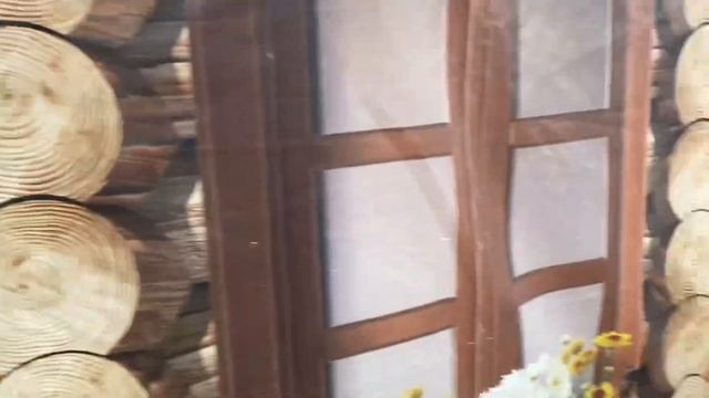 Животные на выставке Белагро 2024 смотреть онлайн