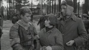 Сериал Четыре танкиста и собака / Czterej pancerni i pies Серия 11