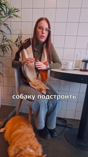 Сухой корм или натуральный? #кинологмосква #корги #дрессировка собак #short #кормдлясобак