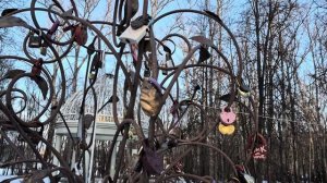 Небольшая прогулка!!!ГОТОВЛЮ  ГОЛУБЦЫ!!!😋