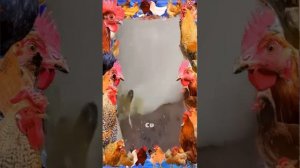 ВЫДАВЛИВАНИЕ ПРЫЩЕЙ ЧИСТКА КОЖИ☀️☀️