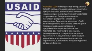 Как работало USAID