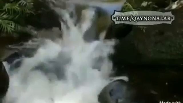 Шеьр АзизларимХаммамизи Илохим  Аллох  Узи  Асрасин 